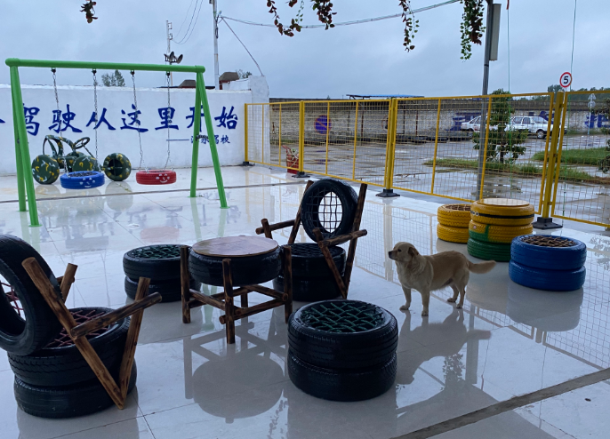 环境三